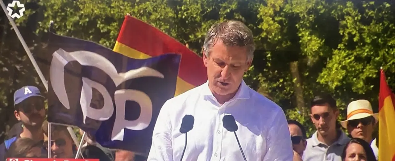 Alberto Núñez-Feijóo en la manifestación de ayer en Madrid