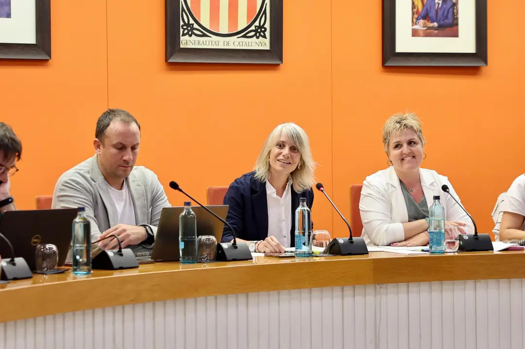 Ple Estat de la ciutat 2025