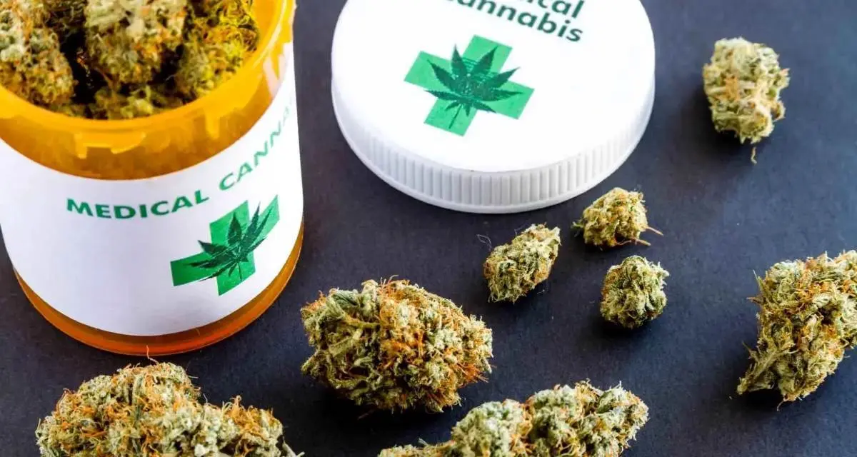 cannabis medicinal