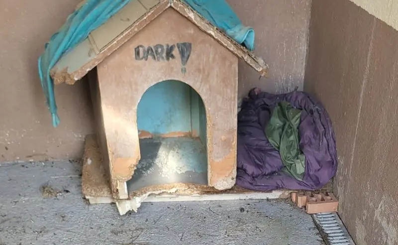 Foto caneres municipals Riells i Viabrea 2