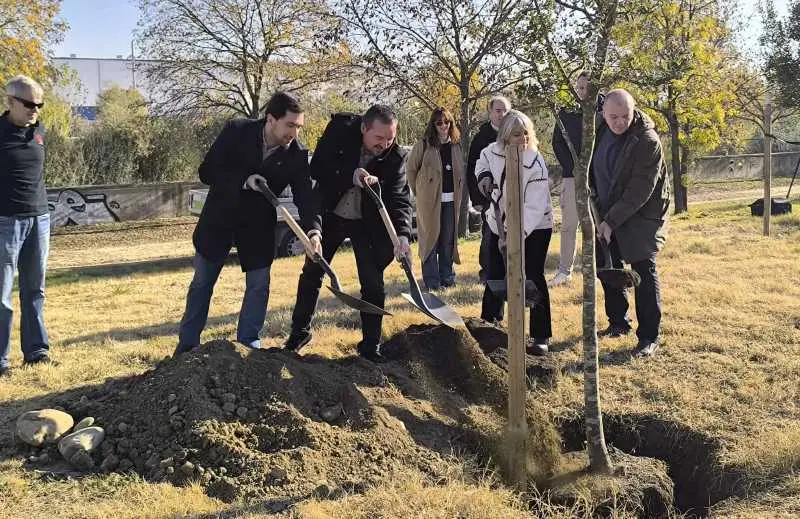 La alcaldesa y el resto de alcaldes plantando la encina de la Mitja