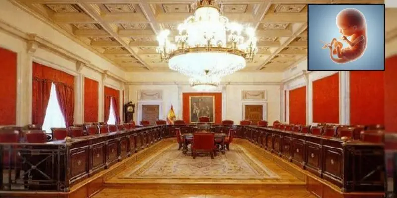 El Consejo de Estado valora positivamente incluir el aborto en la Constituci&oacute;n