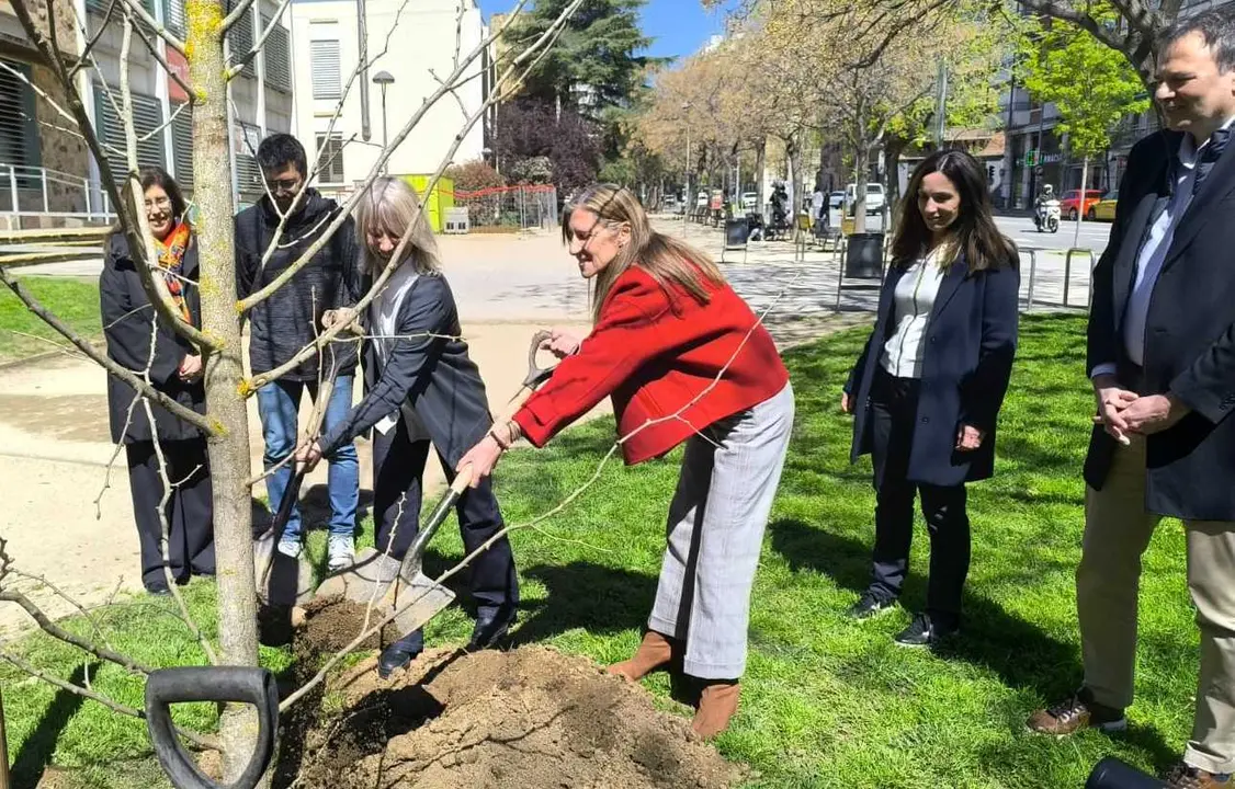 La directora General de Estabanell i la alcaldessa de Granollers, plantant l'arbre