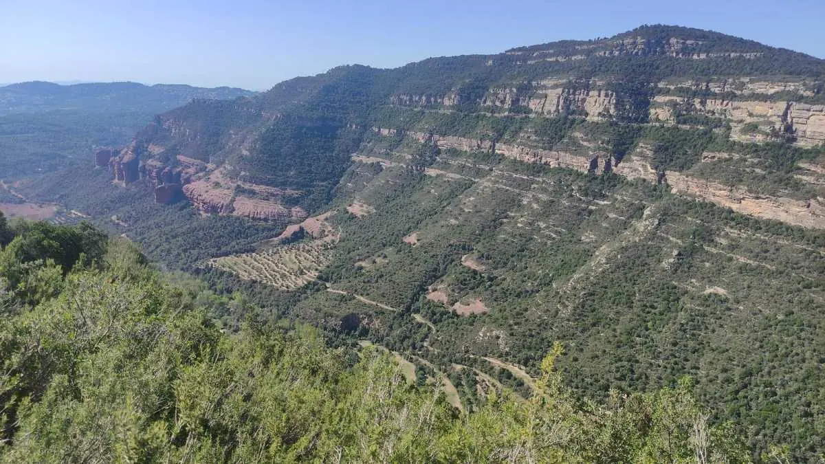 Foto de Barranc del Gat Menjat i tota la zona de les cingles