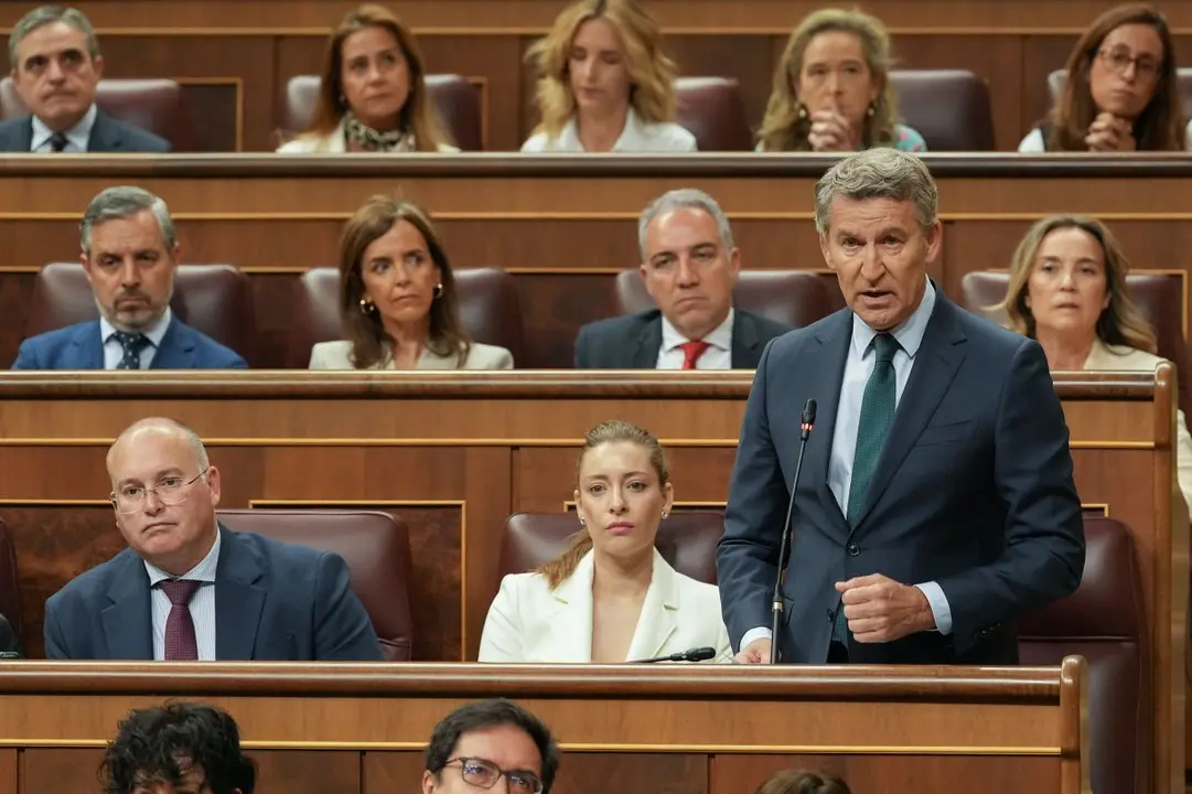 Alberto N&uacute;&ntilde;ez Feij&oacute;o interpela a Pedro S&aacute;nchez en la sesi&oacute;n de control del Congreso Foto del PP