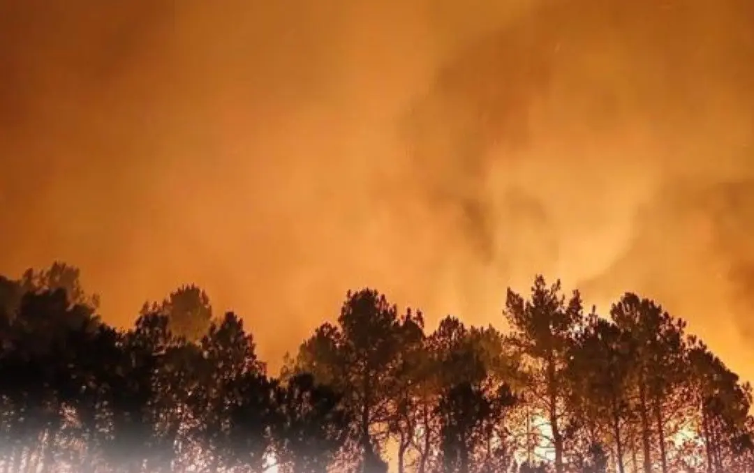 Incendio en Arag&oacute;n