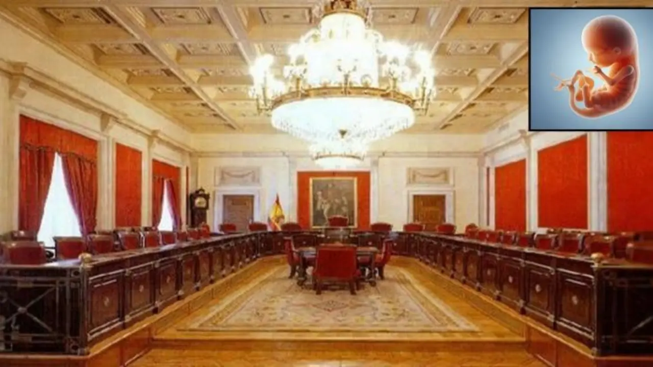 El Consejo de Estado valora positivamente incluir el aborto en la Constituci&oacute;n