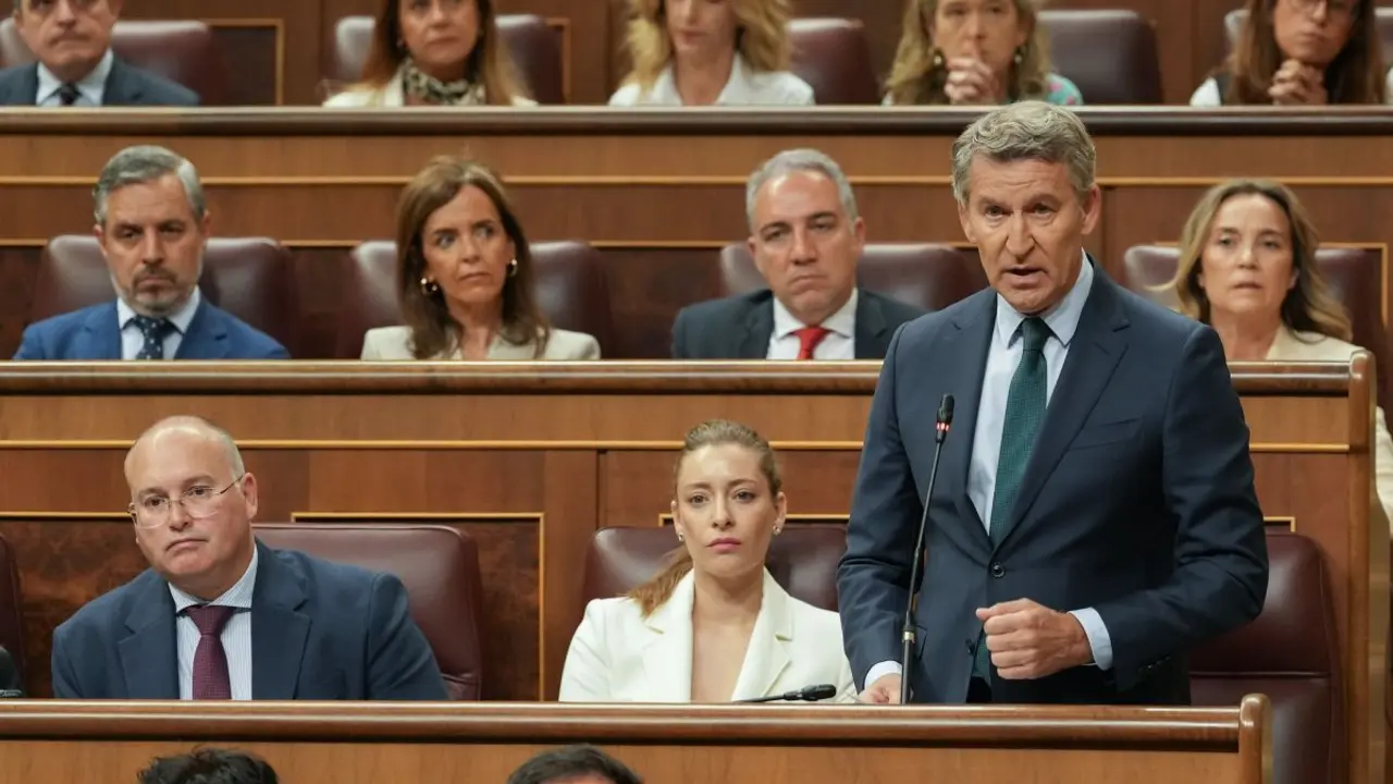 Alberto N&uacute;&ntilde;ez Feij&oacute;o interpela a Pedro S&aacute;nchez en la sesi&oacute;n de control del Congreso Foto del PP