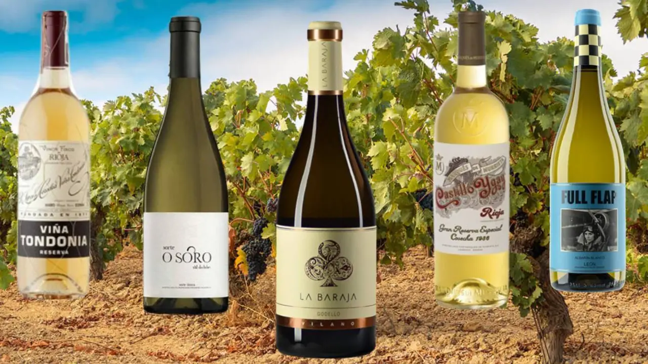 Los mejores vinos blancos