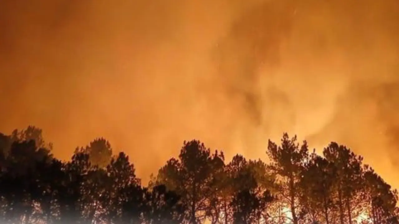 Incendio en Arag&oacute;n