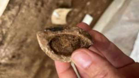 Fragment de nansa d’una ceràmica neolítica. Fotografia Vanesa Triay (ATICS SL)