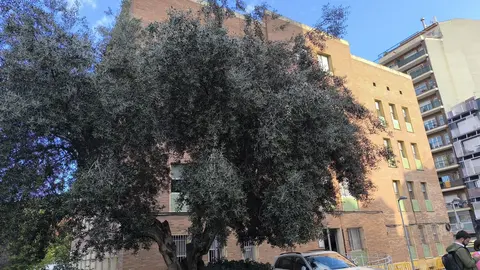 La entrada al nou edifici del Consell Comarcal será desde la Plaça Barangué