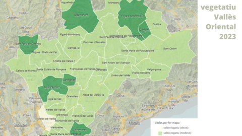 saldo_vegetatiu_2023