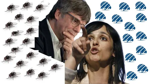 Silvia Orriols o la mosca cojonera de Puigdemont