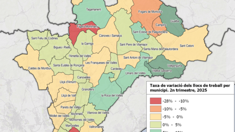 taxa_variacio_llocs_de_treball_2T_2025