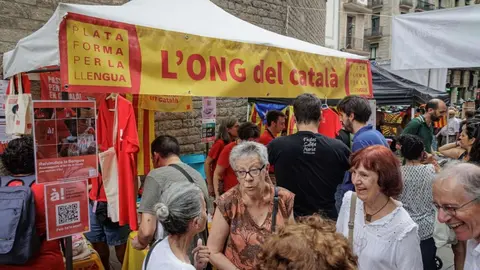 L'ONG del Català
