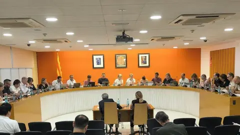 Ple ordinari juliol 2025