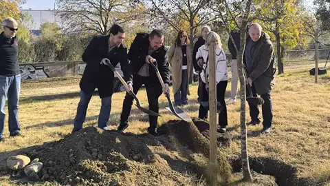 La alcaldesa y el resto de alcaldes plantando la encina de la Mitja