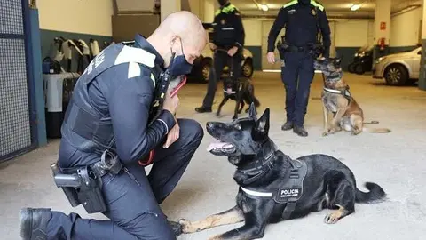 Unitat_canina_Granollers