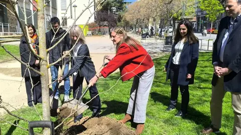 La directora General de Estabanell i la alcaldessa de Granollers, plantant l'arbre