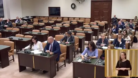 La Comisi&oacute;n para las Pol&iacute;ticas de Discapacidad en la votaci&oacute;n de la PNL Foto del Congreso