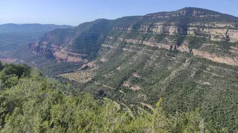 Foto de Barranc del Gat Menjat i tota la zona de les cingles