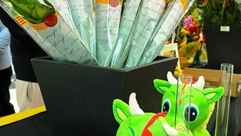 6. dracs i roses, una estranya parella