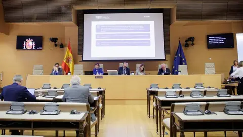 Comisi&oacute;n de Relaciones con el Tribunal de Cuentas