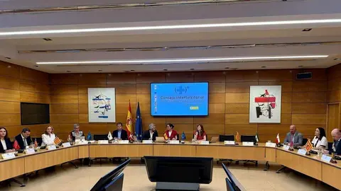 Reuni&oacute;n del Consejo Interterritorial Foto de Ministerio de Sanidad