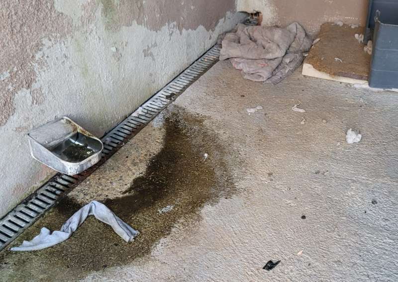 Foto caneres municipals Riells i Viabrea 1