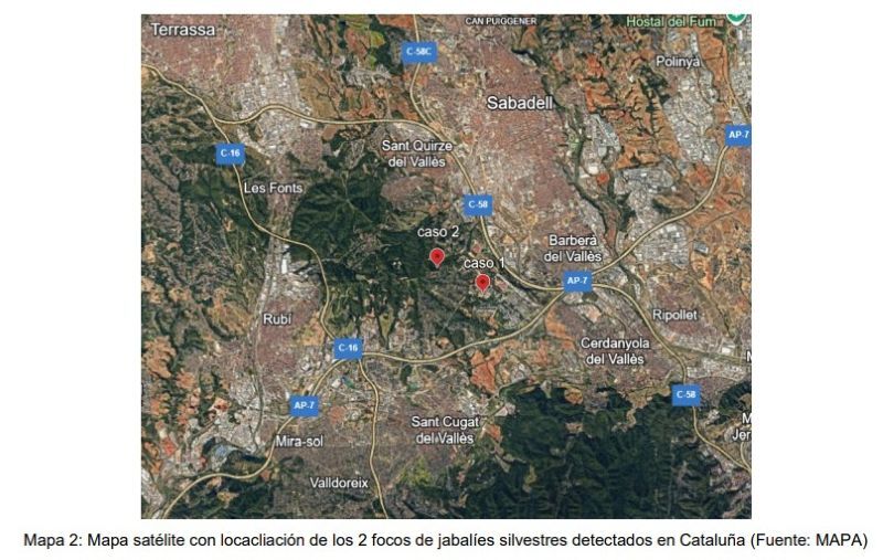 Localización de los dos focos detectados de Peste Porcina en Barcelona (satélite)