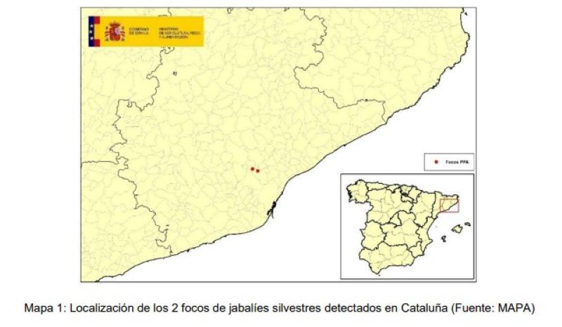 Localización de los dos focos detectados de Peste Porcina en Barcelona
