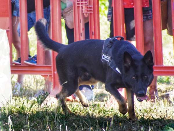 WhatsApp Image 2026-02-23 at 19.03.29