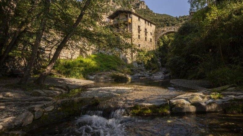 Beget 3
