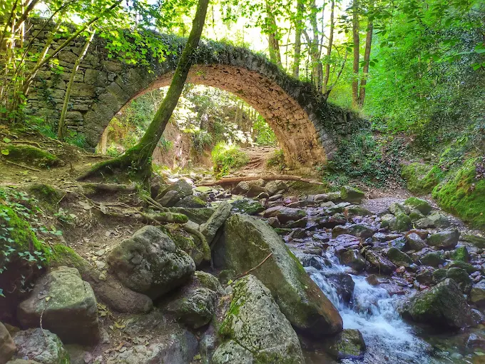 Castellar de n'Hug Pont romànic